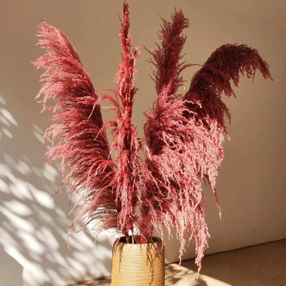 110 - 120cm Large Dried Pampas Grass Plume,Fluffy,Wholesale Boho Home Decor,Natural Real Flower,Wedding Decor,Garden Decoration