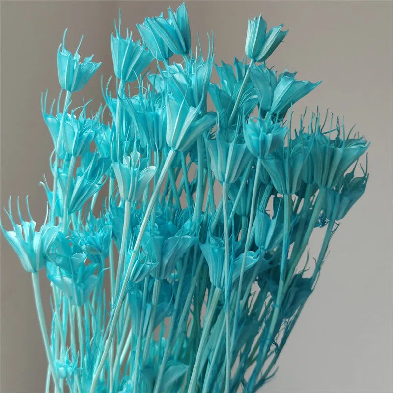 Dried Star Anise, Rustic-Style Floral Arrangements, Handmade DIY Materials, Country-Style Preserved Flowers, Home Decor