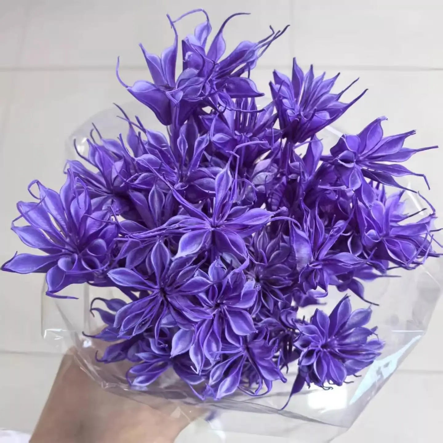 Dried Star Anise, Rustic-Style Floral Arrangements, Handmade DIY Materials, Country-Style Preserved Flowers, Home Decor