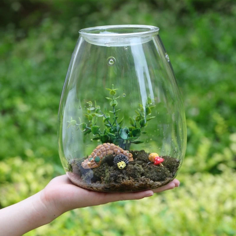 Multi-size Glass Bottle Creativity Dew Collection Glass Vase Micro Landscape Succulent Moss Landscape Glass Terrarium Home Decor