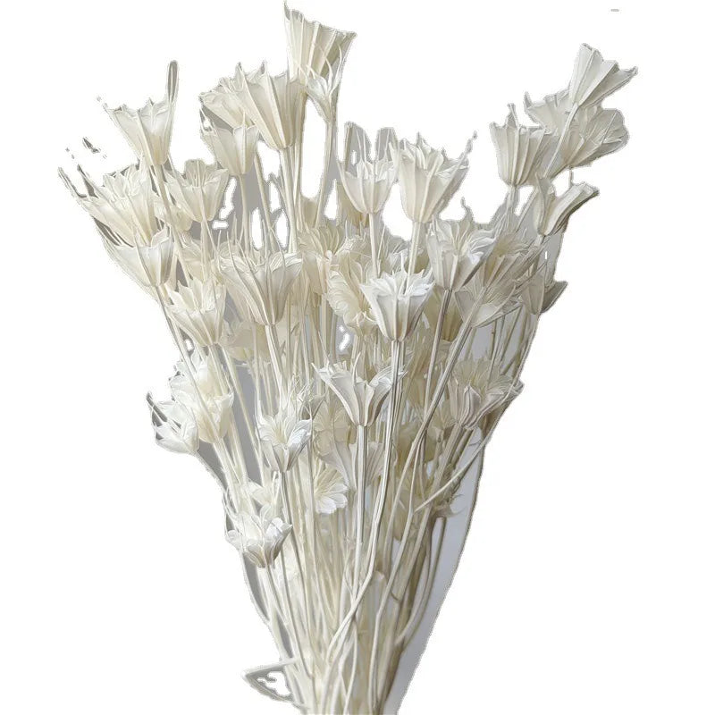Dried Star Anise, Rustic-Style Floral Arrangements, Handmade DIY Materials, Country-Style Preserved Flowers, Home Decor