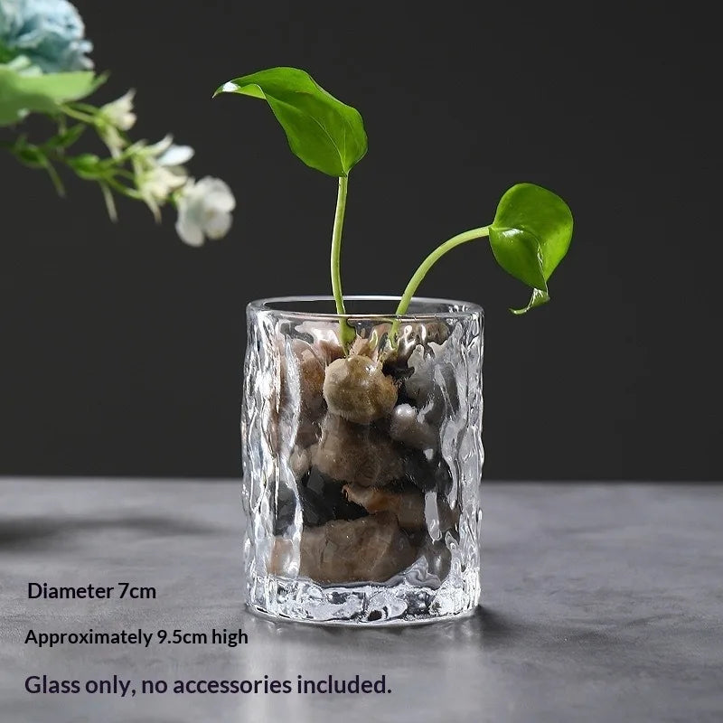 Multi-size Glass Bottle Creativity Dew Collection Glass Vase Micro Landscape Succulent Moss Landscape Glass Terrarium Home Decor