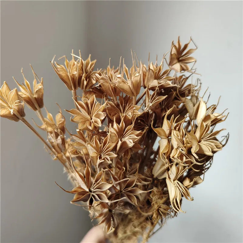 Dried Star Anise, Rustic-Style Floral Arrangements, Handmade DIY Materials, Country-Style Preserved Flowers, Home Decor