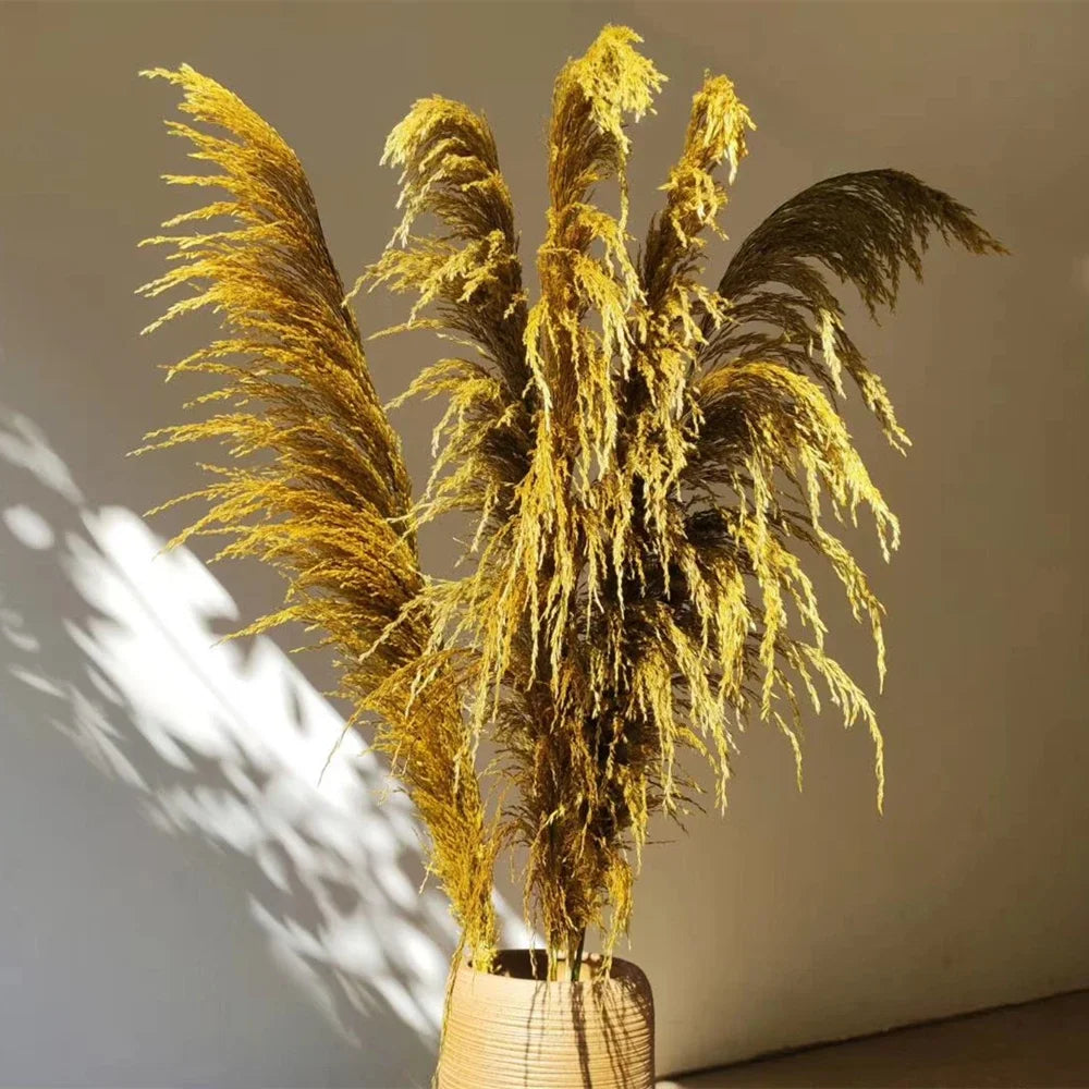 110 - 120cm Large Dried Pampas Grass Plume,Fluffy,Wholesale Boho Home Decor,Natural Real Flower,Wedding Decor,Garden Decoration