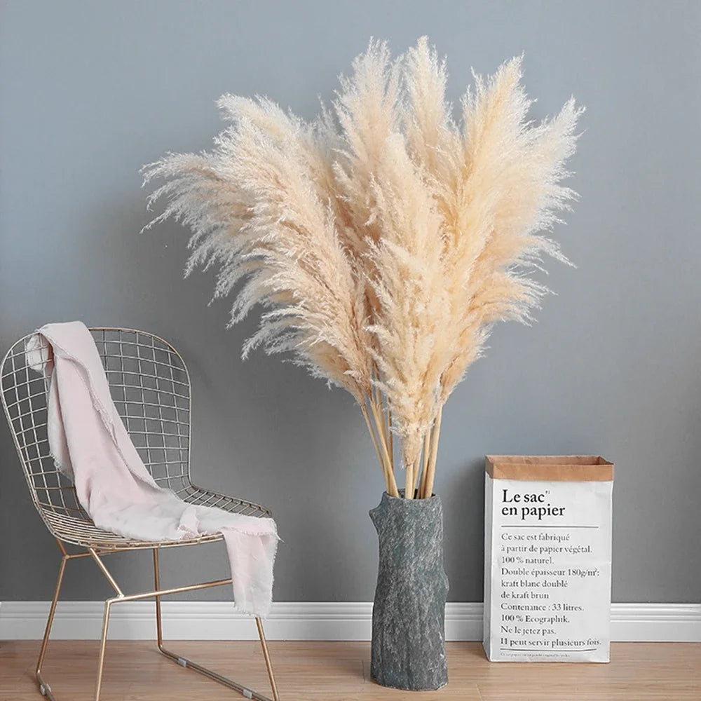 110 - 120cm Large Dried Pampas Grass Plume,Fluffy,Wholesale Boho Home Decor,Natural Real Flower,Wedding Decor,Garden Decoration