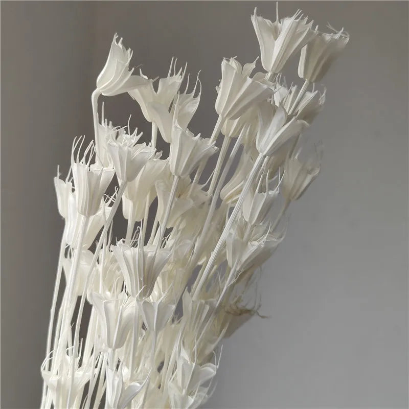 Dried Star Anise, Rustic-Style Floral Arrangements, Handmade DIY Materials, Country-Style Preserved Flowers, Home Decor
