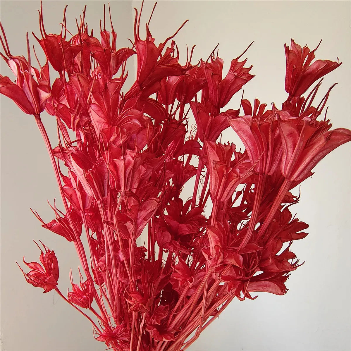 Dried Star Anise, Rustic-Style Floral Arrangements, Handmade DIY Materials, Country-Style Preserved Flowers, Home Decor