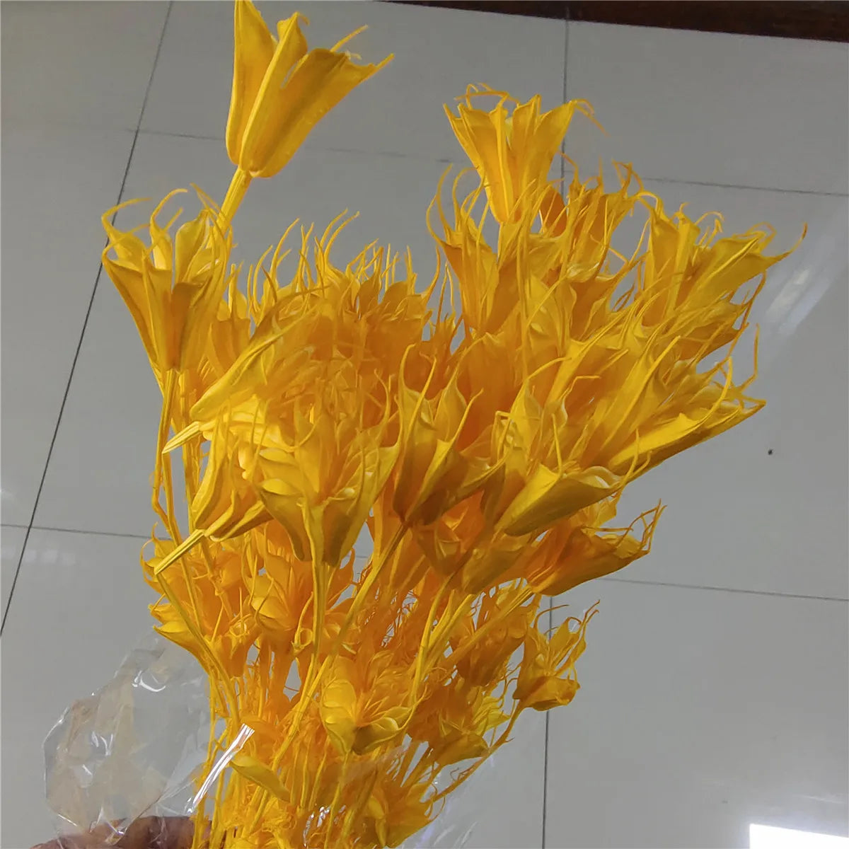 Dried Star Anise, Rustic-Style Floral Arrangements, Handmade DIY Materials, Country-Style Preserved Flowers, Home Decor