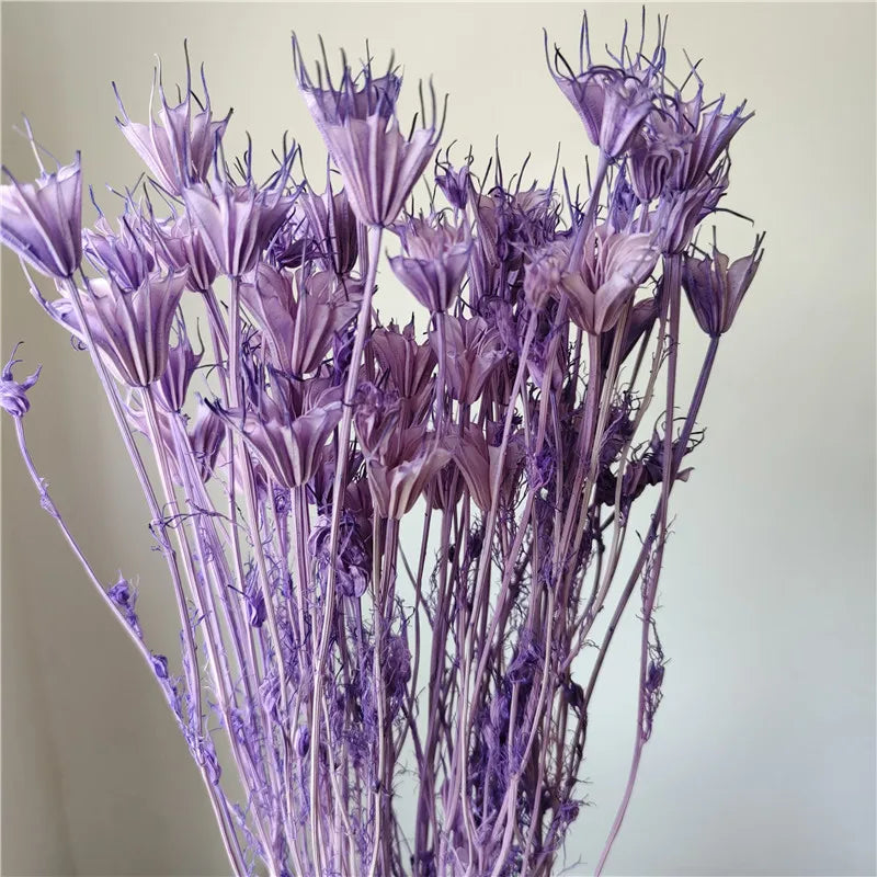 Dried Star Anise, Rustic-Style Floral Arrangements, Handmade DIY Materials, Country-Style Preserved Flowers, Home Decor