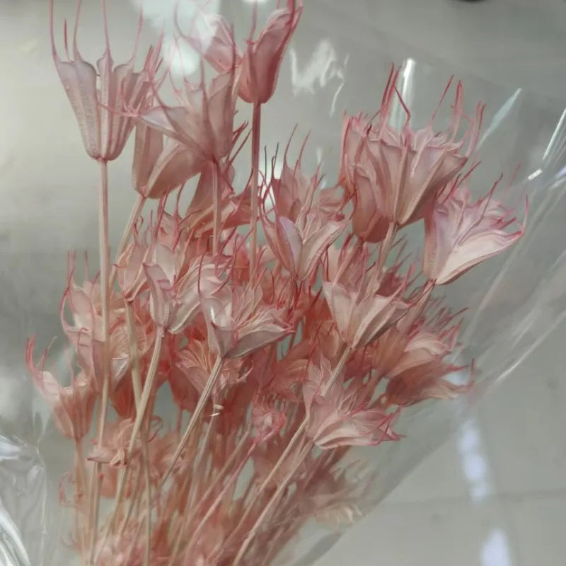Dried Star Anise, Rustic-Style Floral Arrangements, Handmade DIY Materials, Country-Style Preserved Flowers, Home Decor