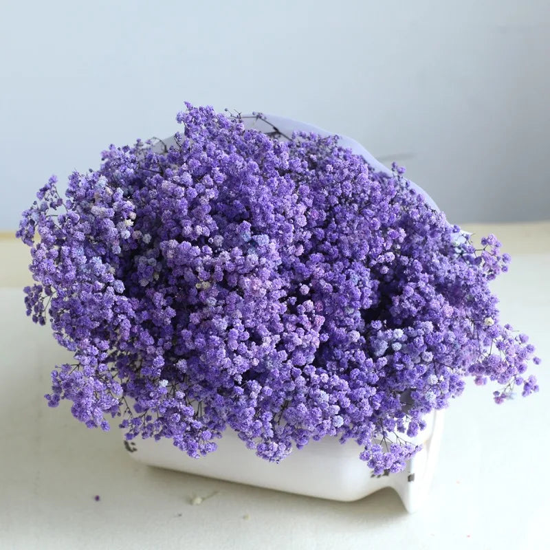 100g Dried Flowers Baby Breath Preserved Flowers Gypsophila Bouquet Boho Home Decor Colorful Gypsophile Wedding Party Decoration